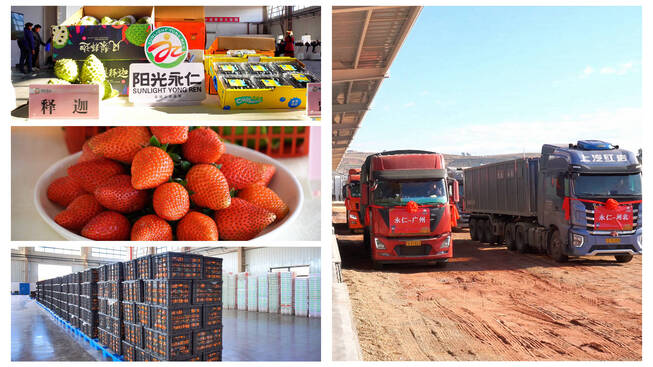 图片1.png 图片1.png