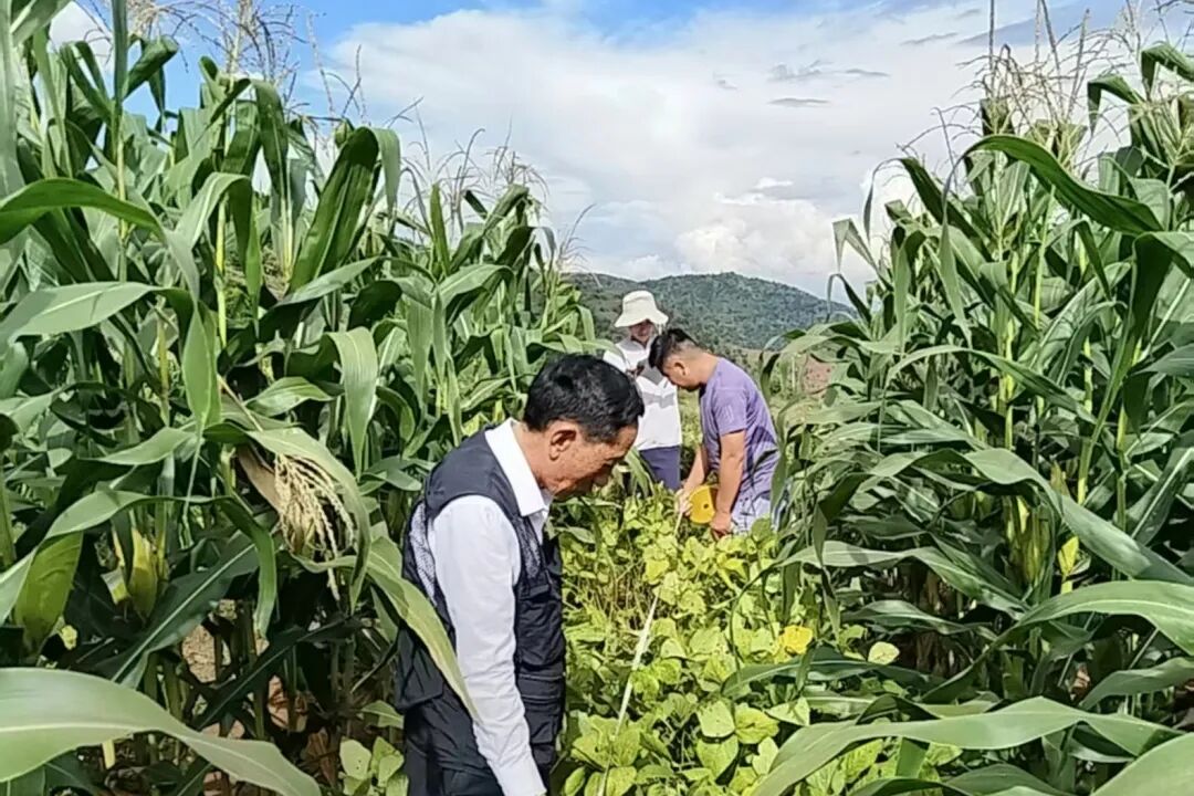 宜就1.jpg 宜就1.jpg