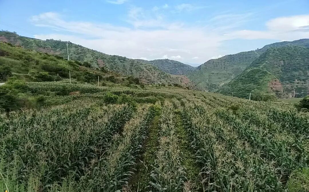 宜就3.jpg 宜就3.jpg