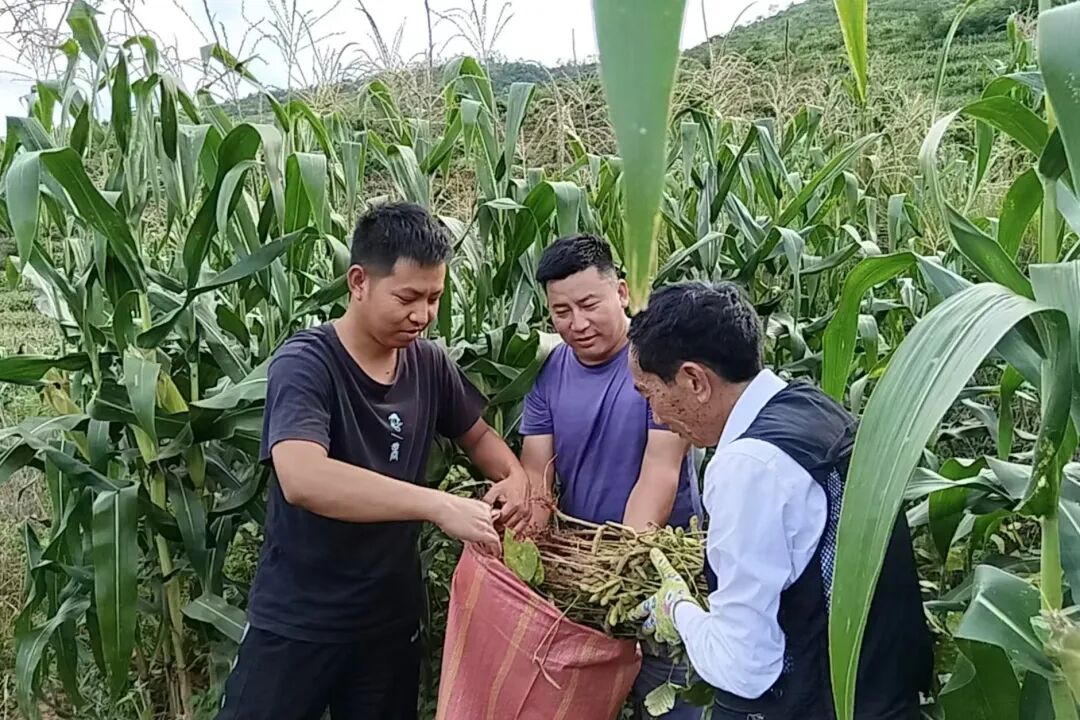 宜就2.jpg 宜就2.jpg