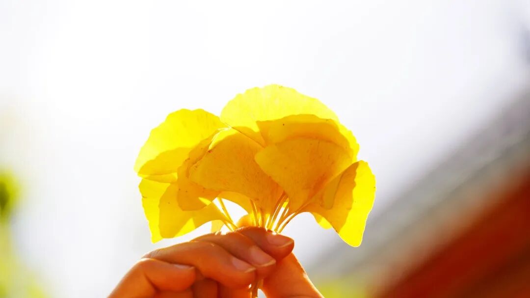 DSC07545 改 - 副本.jpg DSC07545 改 - 副本.jpg