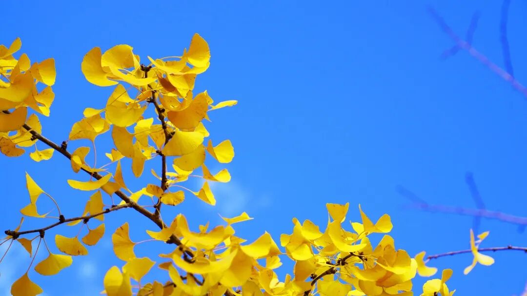 DSC07531 改.jpg DSC07531 改.jpg