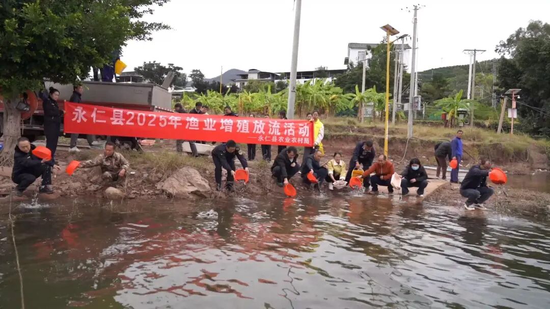 鱼苗投放1.jpg 图片
