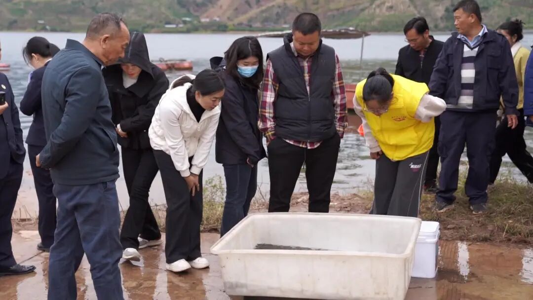 鱼苗投放7.jpg 图片