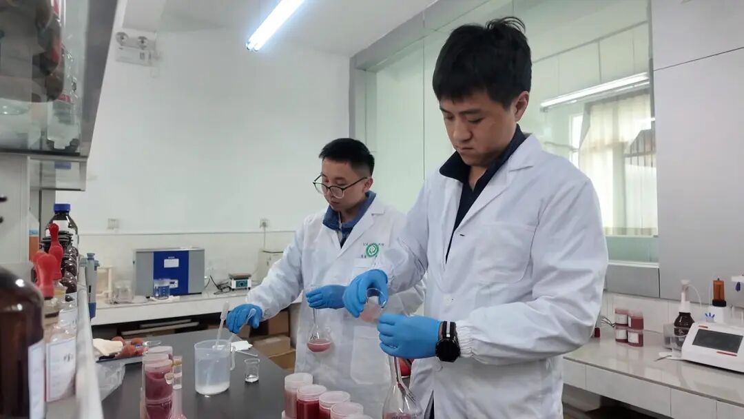 草莓防控13.jpg 图片