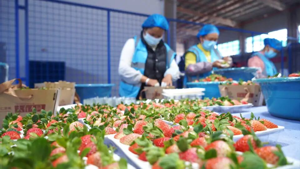 直播3.jpg 直播3.jpg