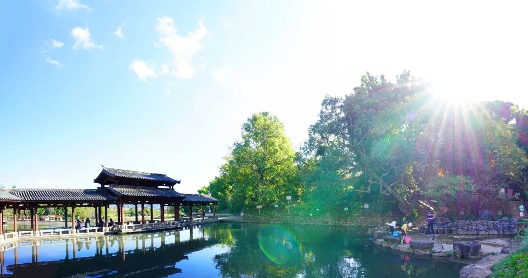 龙潭 (2).jpg 龙潭 (2).jpg