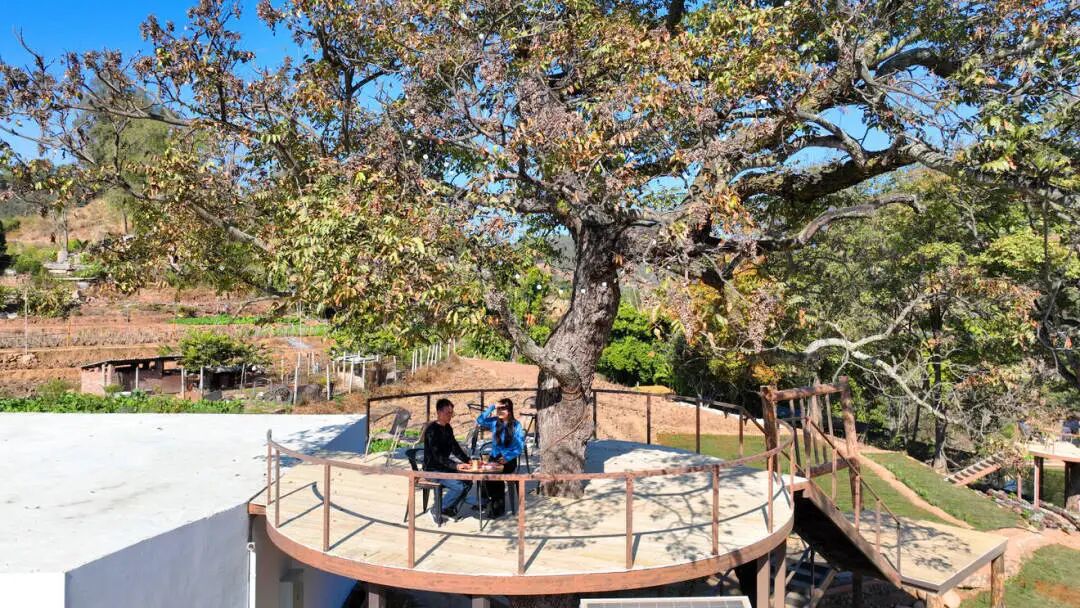 莲池咖啡6.jpg 莲池咖啡6.jpg