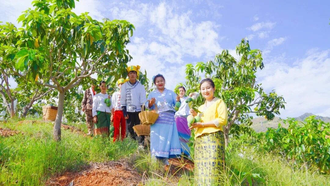 永兴芒果1.jpg 永兴芒果1.jpg