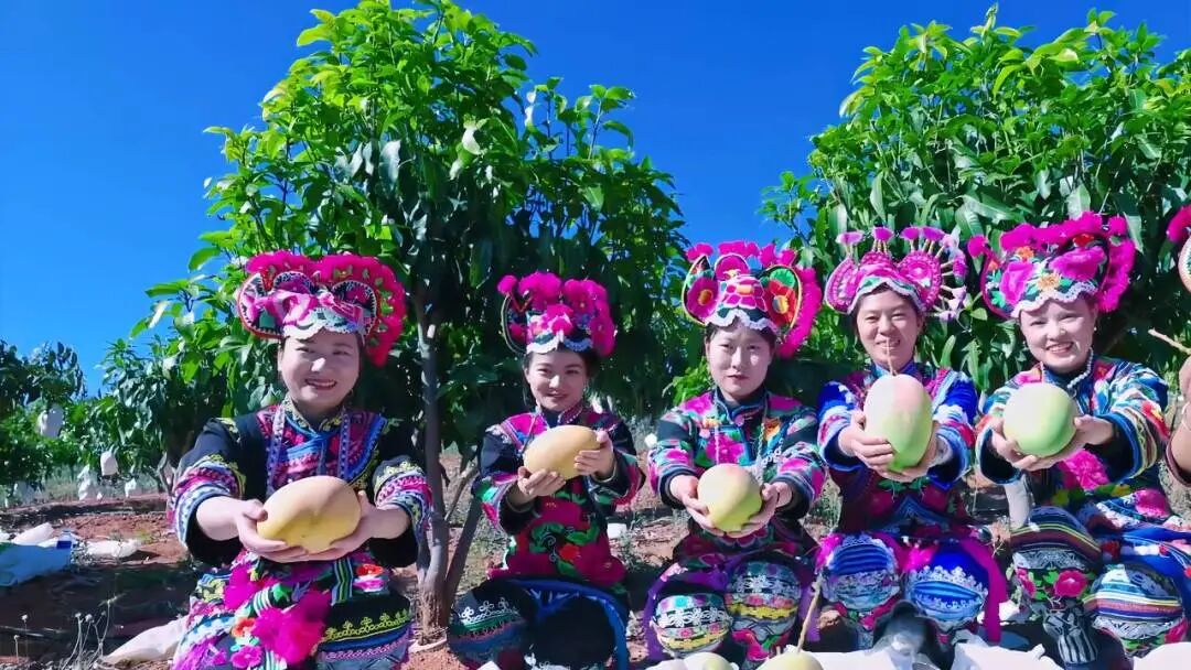 芒果1.jpg 芒果1.jpg