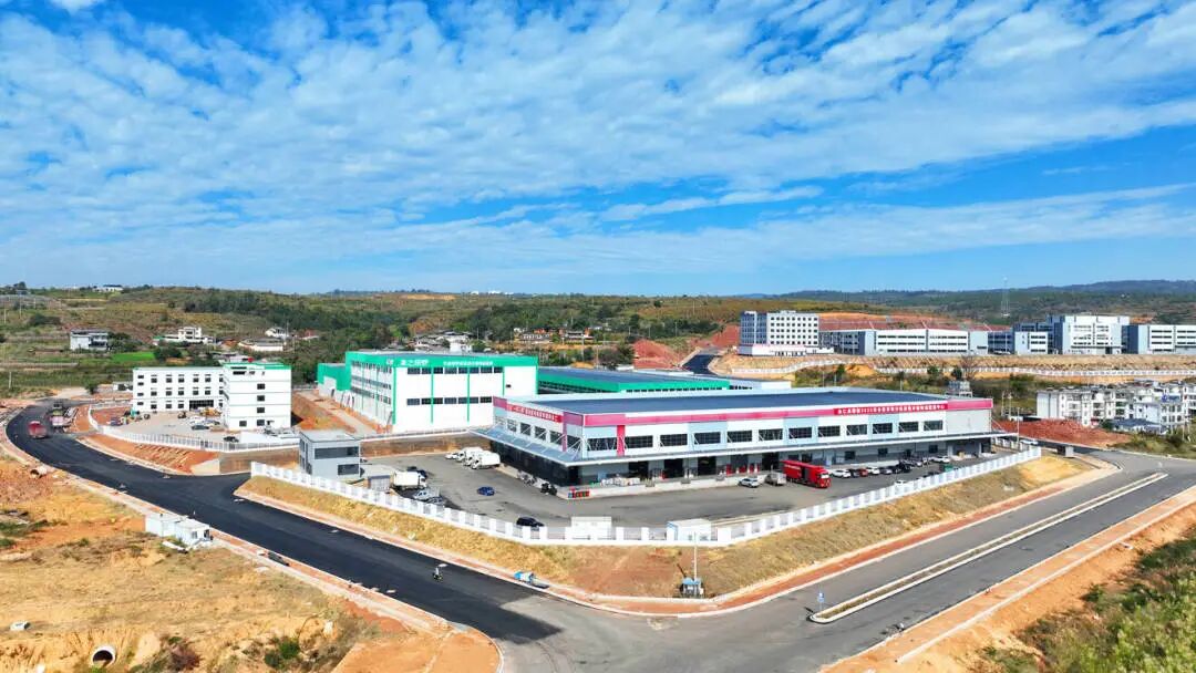 芒果8.jpg 芒果8.jpg