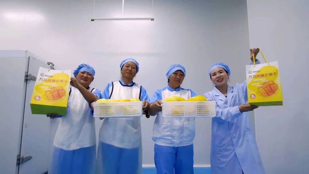 芒果干2.jpg 芒果干2.jpg