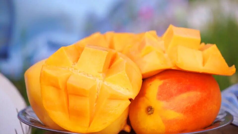 芒果9.jpg 芒果9.jpg