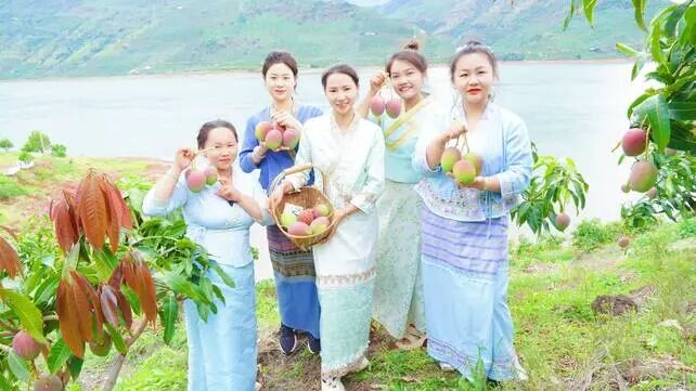 永兴芒果9.jpg 永兴芒果9.jpg