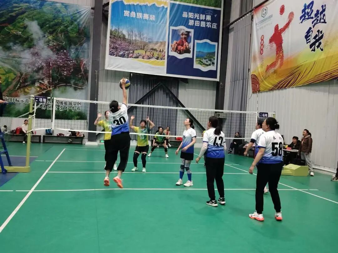 排球1.jpg 排球1.jpg