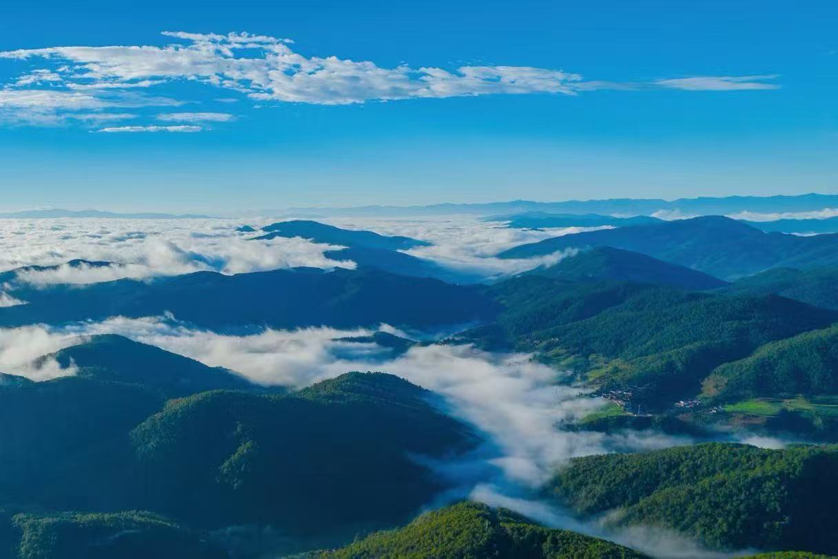 云南哀牢山国家级自然保护区楚雄州辖区的云海。