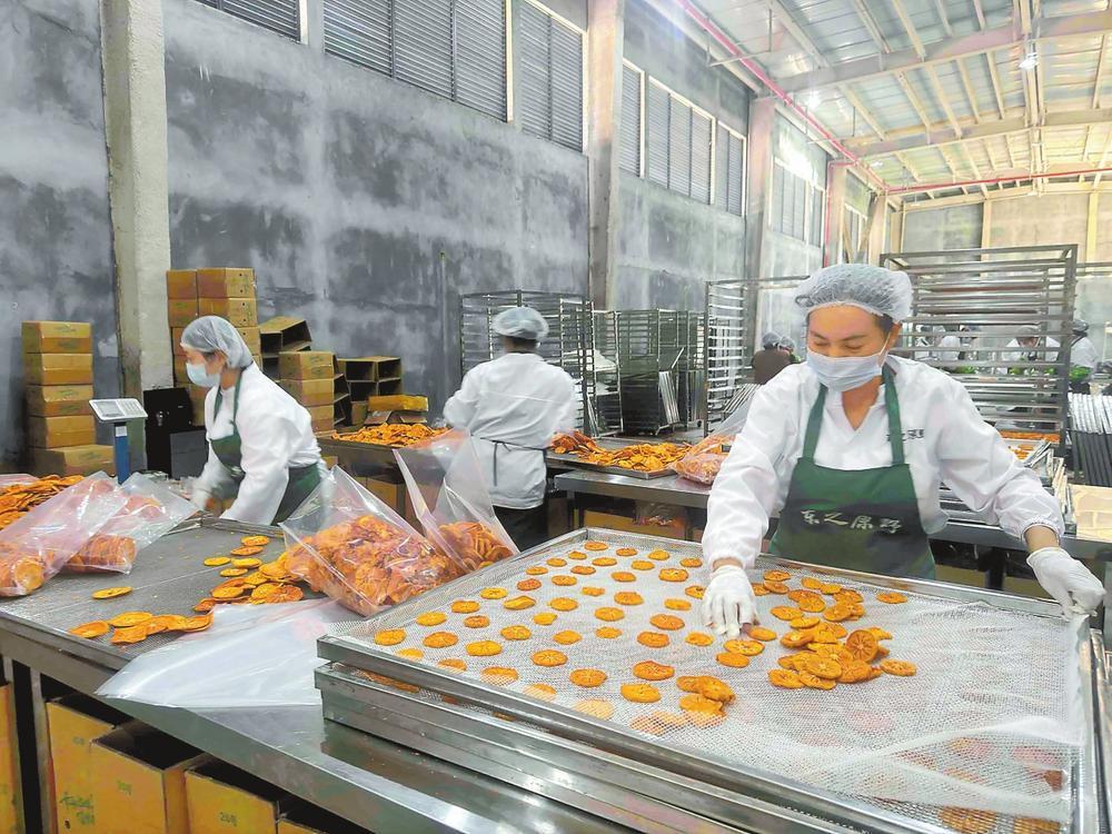 东之原野林果生产线。记者 吕瑾 摄