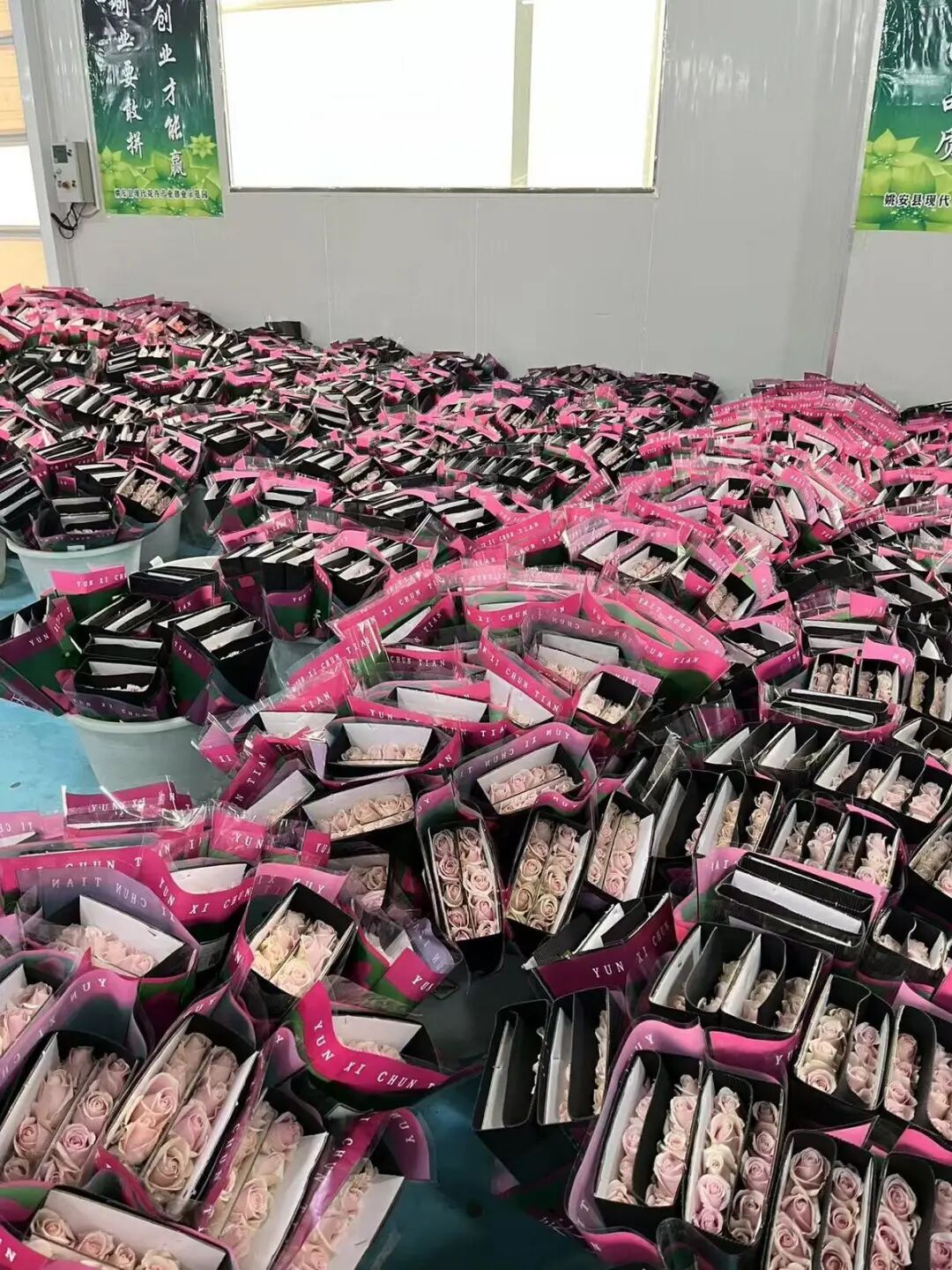 包装好的鲜切花 图片