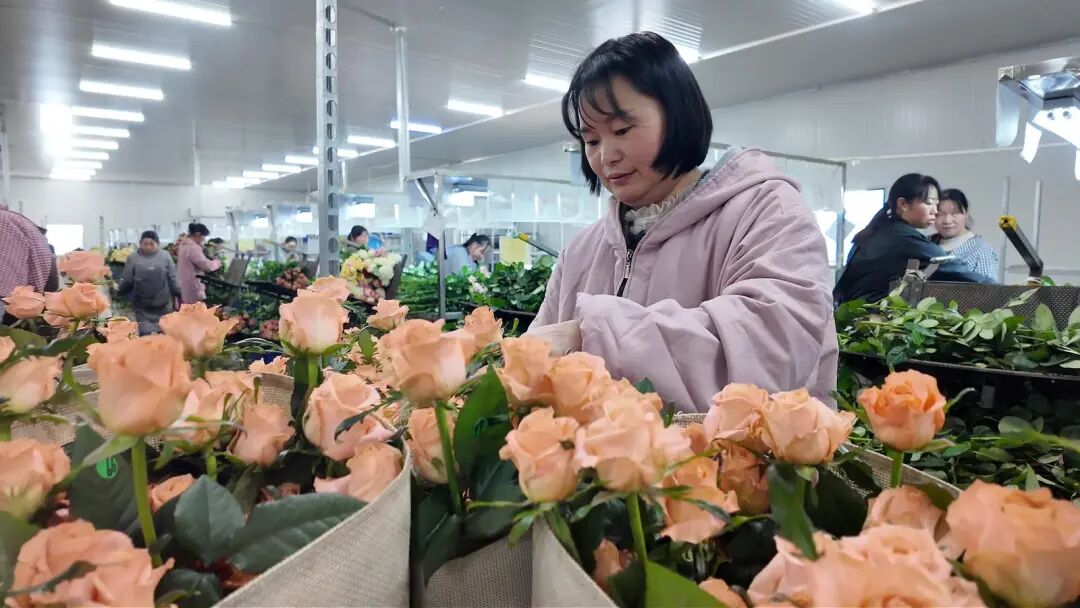 杨秀春正在车间工作 图片