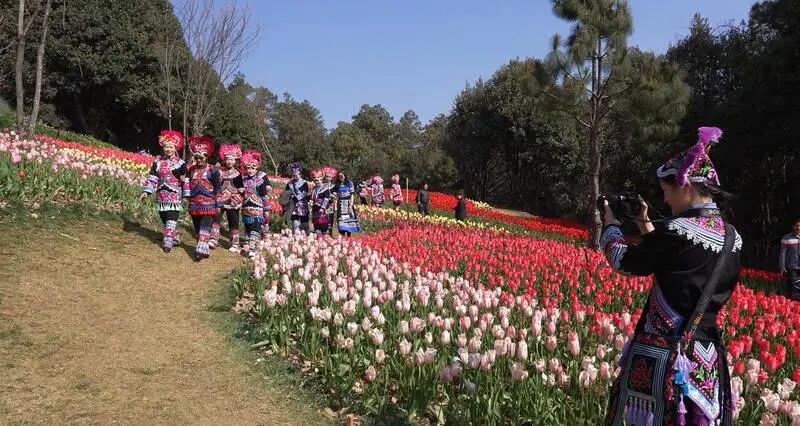 郁金香花海吸引众多游客前来观赏打卡。记者 尹文才 摄 图片