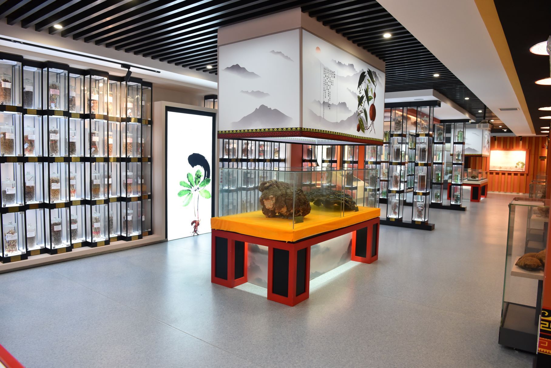 中国彝医药博览馆近万种药材标本展示