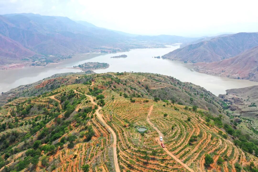 元谋县江边乡棋盘山金沙江干热河谷生态保护与修复区。王洪 摄