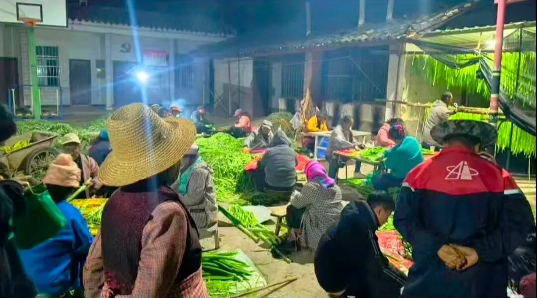 bc13896e29967d5d340491c7ba53d88d.jpg bc13896e29967d5d340491c7ba53d88d.jpg