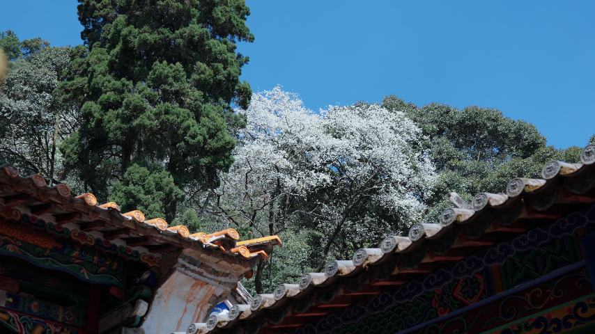 国家4A级旅游景区武定狮子山一角。肖天德 摄
