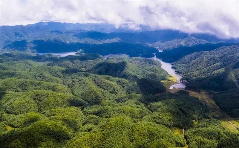 哀牢山腹地。资料图