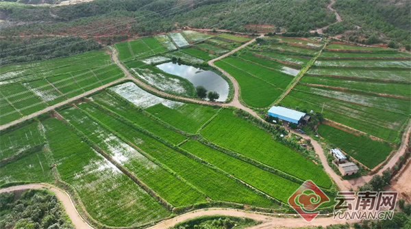 楚雄大姚 落实耕地占补平衡 确保粮食安全