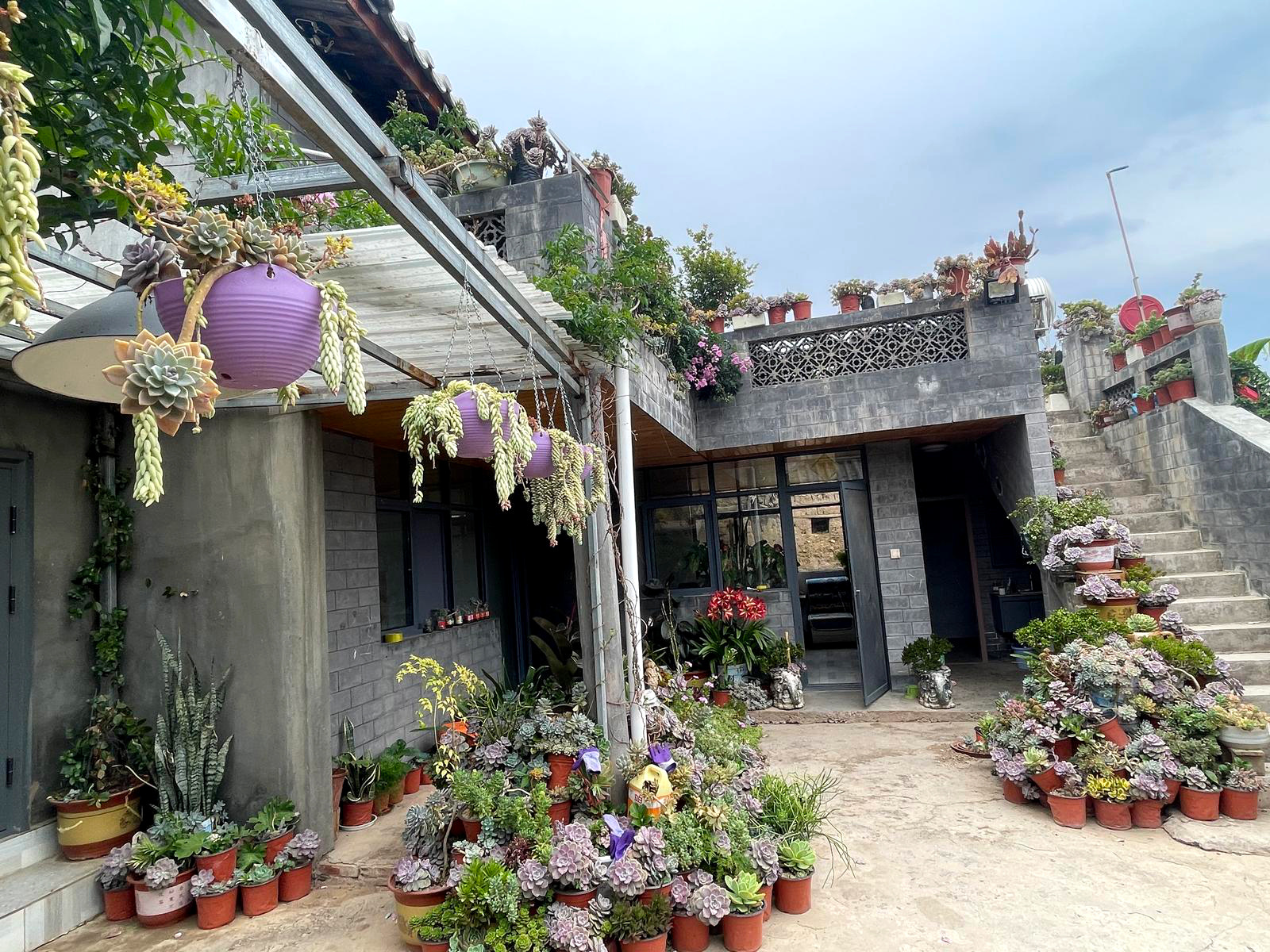 李乔珍的小院