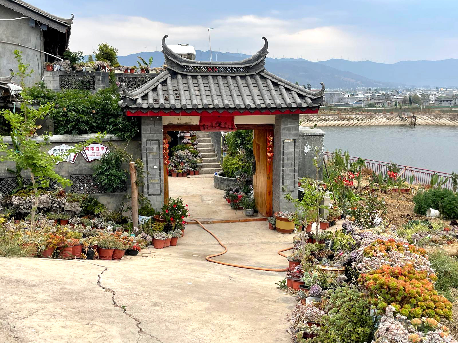 李乔珍的小院